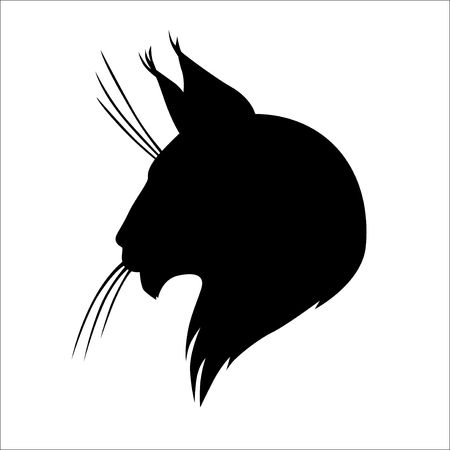 Vector illustrations of Maine coon cat silhouette headのイラスト素材