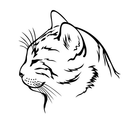 Vector illustrations of sleeping cat contour headのイラスト素材