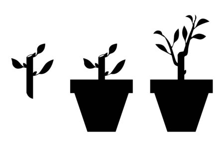 Vector illustrations of silhouette of sprout planted in a potのイラスト素材