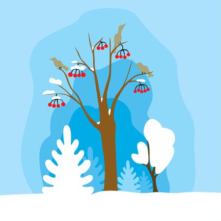 Vector illustration of winter landscape with rowanのイラスト素材