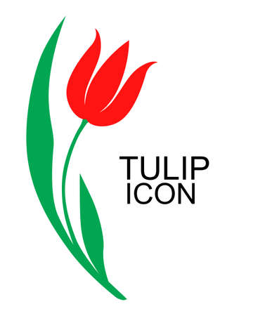 Vector illustrations of decorative tulip flower iconのイラスト素材