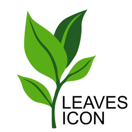 Vector illustrations of Eco icon with branch with green leavesのイラスト素材