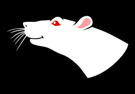 Vector illustrations of white rat muzzle icon on black backgroundのイラスト素材