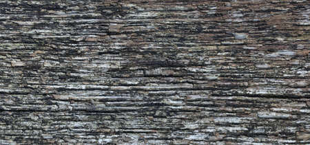 Texture of old wood surfaceの写真素材