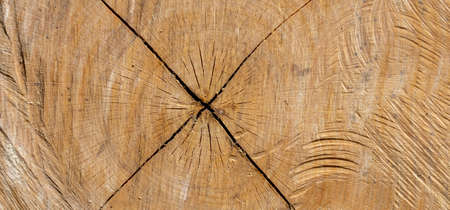 Texture of old wood plank surface backgroundの写真素材