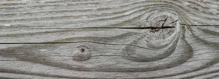 Texture of old wood planks wall backgroundの写真素材
