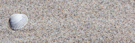 Texture of beach sand background