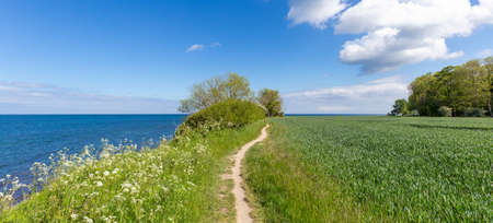 Beach and blue sea water with blue sky and white clouds landscapeの写真素材
