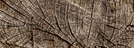 texture of old brown wood. background of wooden surface