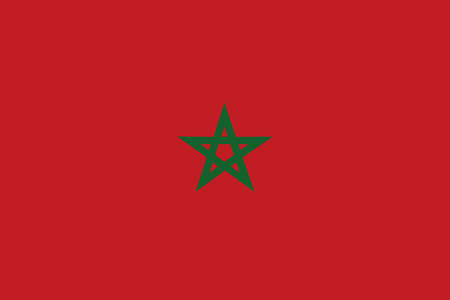 Illustration for Flag of Morocco - vector illustration - Royalty Free Image