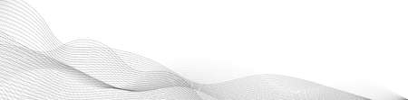 abstract vector gray curve wave lines on white background