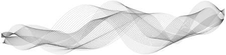 abstract vector gray curve wave lines on white background