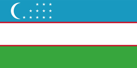 vector illustration of Uzbekistan flagのイラスト素材