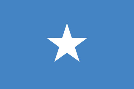 vector illustration of Somalia flagのイラスト素材