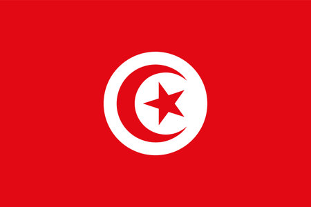 vector illustration of Tunis flagのイラスト素材