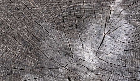 texture of brown wood plank wall. background of wooden surfaceの写真素材