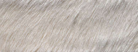 close up photo of gray fur texture backgroundの写真素材