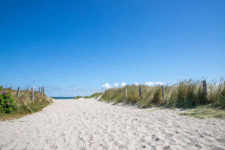 path in the sand dunes on Baltic Sea