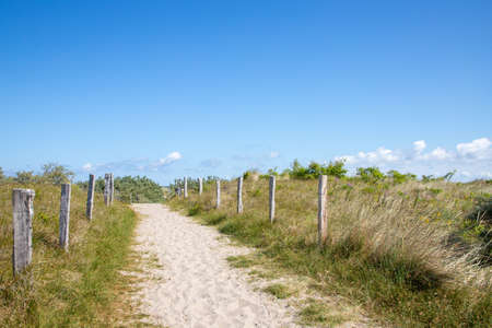 path in the sand dunes on Baltic Sea