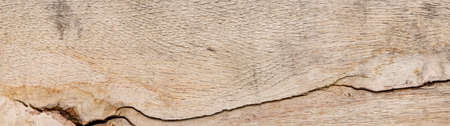 texture of brown wood plank . background of wooden surface