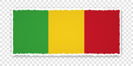 vector illustration of torn paper banner with flag of Mali on transparent backgroundのイラスト素材