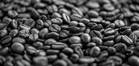 Background of roasted coffee beansの写真素材