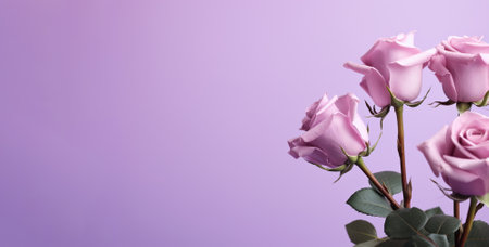 illustration of violet rose flowers on violet background. Created with Generative AIの素材