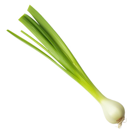 isolated illustration of green onion. Created with Generative AIの素材