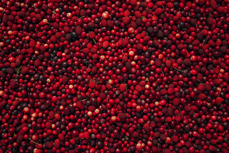 illustration of cranberry fruits texture background. Created with Generative AIの素材