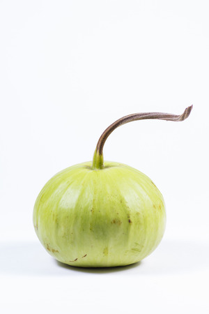 Studio shot of a green pumpkin on white backgroundの写真素材