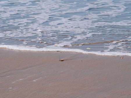Shore of the beach with clear water