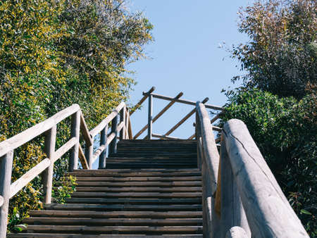 Wooden access to the beach