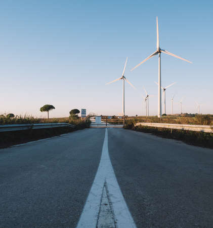 Wind turbine field in Cadizの写真素材