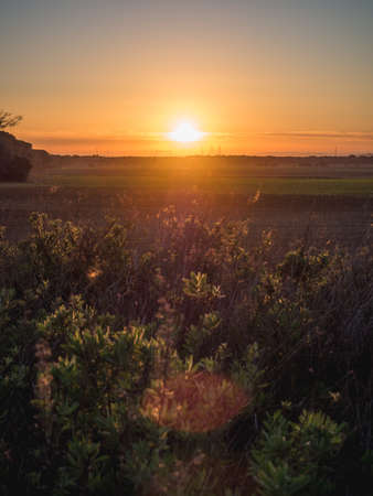 Landscape sunset in Cadizの写真素材