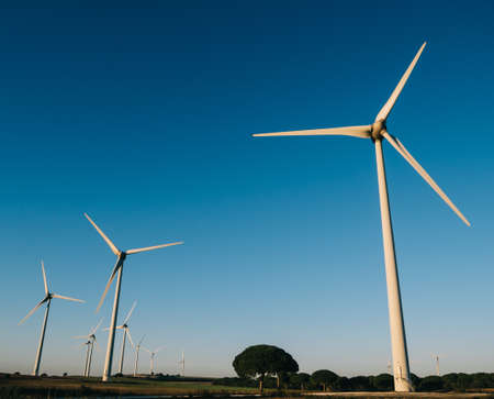 Wind turbine field in Cadiz