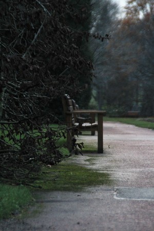 Ephemeral moments. December 2016. Edinburgh. Scotland.