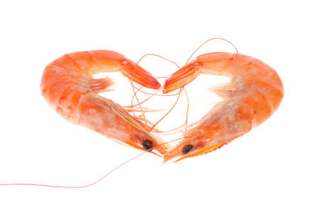 shrimp, photo on the white background の写真素材