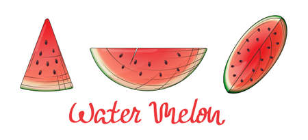 Hand-drawn vector set from illustration of watermelons. Bright illustration for design of menu,...