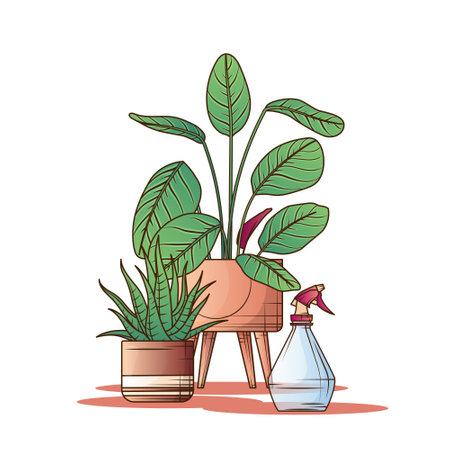 Calathea, haworthia and watering sprayer. Isolated vector illustration of houseplants. Flower shop, potted plant and home garden concept.のイラスト素材