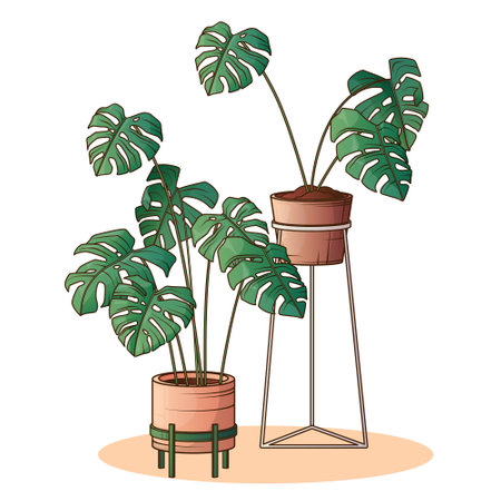 Vector illustration of houseplants. Potted monstera plant. Home garden, potted plant, interior concept.のイラスト素材