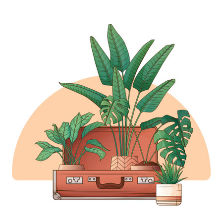 Vector illustration of suitcase with houseplants. Monstera, strelitzia, aglaonema, haworthia plant. Interior, home garden, potted plants concept.のイラスト素材