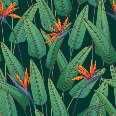 Seamless floral pattern with strelitzia plant. Vector illustration of plant of bird of paradise. For fabric, textile, wrapping paper, cover, package. Flowers and tropical leaves.のイラスト素材