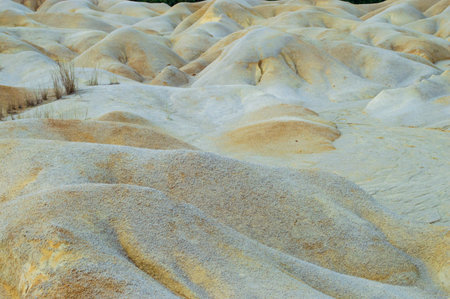 desert on Bintan Island during the day with sunny weather. with white and dry sand