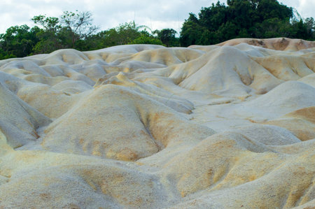 desert on Bintan Island during the day with sunny weather. with white and dry sand