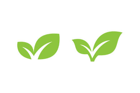Green leaf icon vector design on white backgroundのイラスト素材