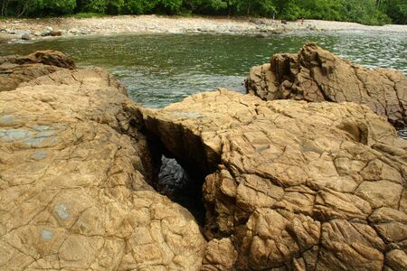 Coral at Green Bay Banyuwangiの写真素材
