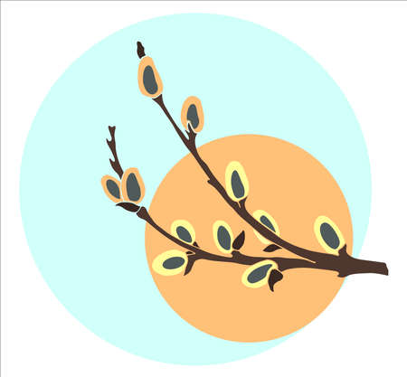 Willow branch on the background of the sun and skyのイラスト素材