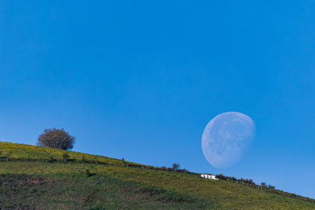 moon in the blue sky over green meadow, beautiful photo digital pictureの写真素材