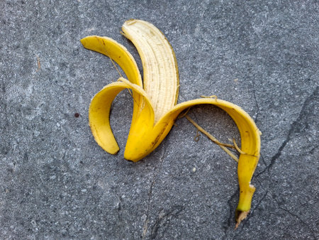 Banana Peel on the Floorの写真素材
