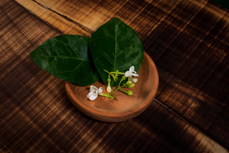 Jasmine Flower Dark Green Backgroundの写真素材